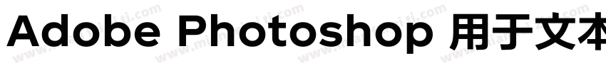 Adobe Photoshop 用于文本字体转换
